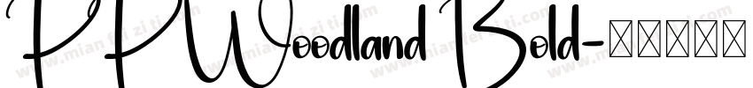 PP Woodland Bold字体转换